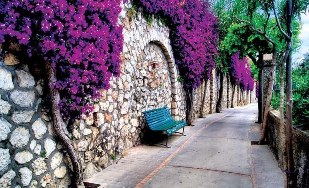 Nafpaktos Studio In Port Ιι Exteriör bild